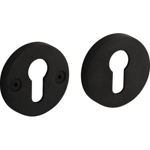 Intersteel pc-plaatjes Grand & Johnson éénzijdig verdekt ø55x8mm PVD zwart