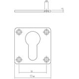 Intersteel Rozet met profielcilindergat vierkant 42x42x2 mm rvs geborsteld