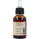 Michel Merlet - Propolis Extract - 30ml - Vloeibaar Extract - Natuurlijke Kracht van Propolis