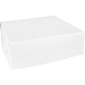 Zwanenhals/ verzenddoos | karton | 25x25x8cm | duplex | wit | 100 stuks