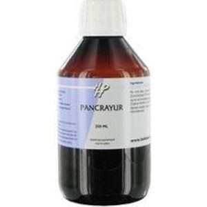 Holisan Pancrayur 250 Milliliter