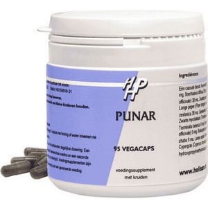 Holisan Punar Capsules 95st