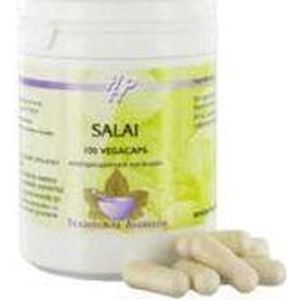 Holisan Salai/seratin 100cap