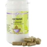 Holisan Ajowan Capsules 60st