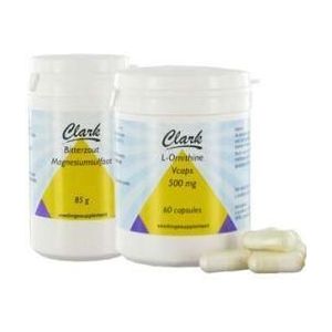 Holisan Leverkuur (ornithine & bitterzout)