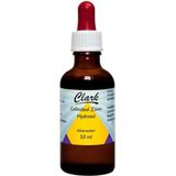 Holisan Colloidaal Zilver 50PPM - 50 ml