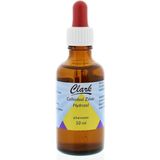 Holisan Colloidaal Zilver 50PPM - 50 ml