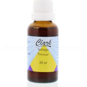 Solidago - Guldenroede - Voedingssupplement - Geel - Meerjarig