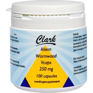 Holisan Alsem Wormwood Vegetarische Capsules -  100 capsules
