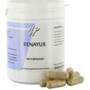 Holisan - Renayur - Kruidenpreparaat - 100 Vcaps