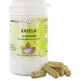 Holisan Karela 60 capsules