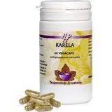 Holisan Karela 60 capsules