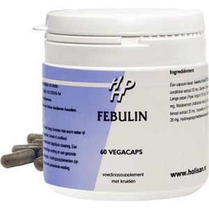 Holisan Febulin 60 capsules
