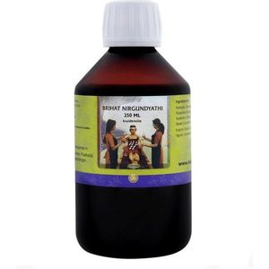 Holisan - Brihat Nirgundyathi Taila - Ayurvedische Kruidenolie - Kokosolie