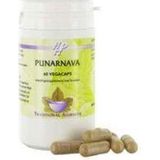 Holisan - Punarnava - Kruidenpreparaat - 60 Vcaps - Boerhaavia diffusa Extract
