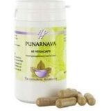 Holisan - Punarnava - Kruidenpreparaat - 60 Vcaps - Boerhaavia diffusa Extract