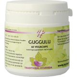 Holisan Guggulu - 60 cap