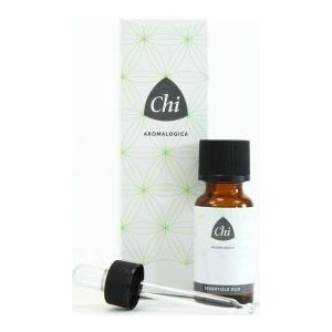 Chi Gember CO2 extract eko bio 2 Milliliter