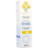 Homeofresh Tandpasta Citrus 75 ml