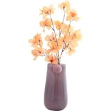 Vaas - Glas - Transparant