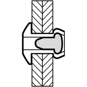 Klinknagels - RVS - Set van 100