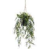 Emerald kunstplant/hangplant - Buxus - groen - 50 cm lang - Levensechte kunstplanten