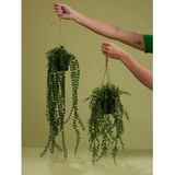 Emerald kunstplant/hangplant - Buxus - groen - 50 cm lang - Levensechte kunstplanten