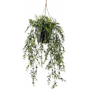 Emerald kunstplant/hangplant - Buxus - groen - 50 cm lang - Levensechte kunstplanten