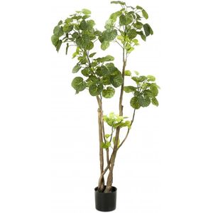 Emerald Kunstboom aralia 135 cm 420292