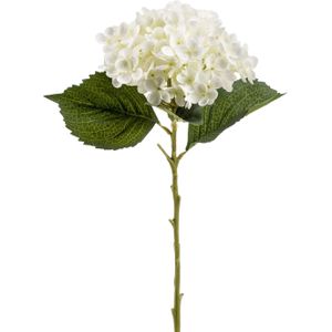 Kunstbloem Hortensia tak - Annabelle - 52 cm - creme - Kunst zijdebloem - Hydrangea - Kunsttakken
