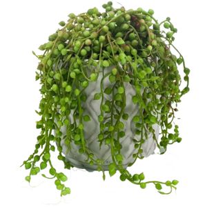 Emerald Kunstplant Senecio/erwtenplant - groen - in pot - 27 cm - hangplant