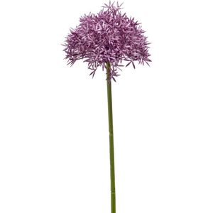 Emerald Allium/Sierui kunstbloem - losse steel - paars - 62 cm - Natuurlijke uitstraling