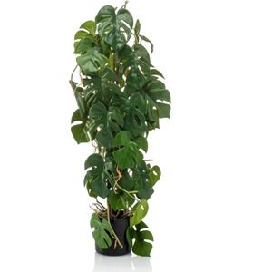Emerald Künstliche Monstera 75 cm im Topf