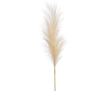 Emerald Pampasgras pluim losse steel/tak - creme wit - 115 cm - Decoratie kunst bloemen/graspluimen