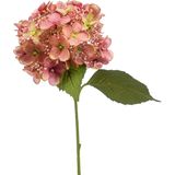 Emerald Kunstbloem hortensia tak - 50 cm - oud roze - kunst zijdebloem - Hydrangea - decoratie bloem