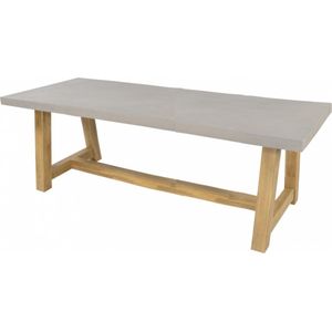 Tafel Judy 250x100cm