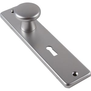 AMI kortschild met vaste knop (40mm) - cilindergat - PC55 - F1 - 318814