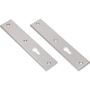 Ami 215246 Langschild 251/50/8 - PC72 - aluminium F1