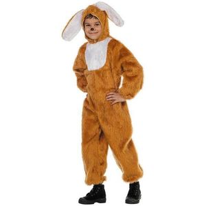 Carnavalskleding dierenkostuum Paas Haas bruin kind Maat 104