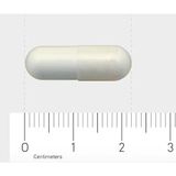 Orthica - NAC-400-Complex Capsules - 60 Stuks - N-acetyl-cysteïne