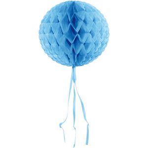 Folat Honeycomb Bol - Baby Blauw - 30cm | Papieren Decoratie voor Themafeesten en Verjaardagen