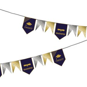 Folat Vlaggenlijn geslaagd thema - 6 meter - goud/zilver - papier - examenfeest hangdecoratie