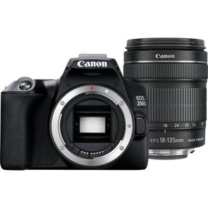 Canon EOS 250D Digitale camera, met lens EF-S 18-135 mm F3.5-5.6 IS STM (24,1 megapixels, 7,7 cm (3 inch) vari-angle scherm, APS-C-sensor, 4K, full-hd, DIGIC 8, wifi, bluetooth), zwart
