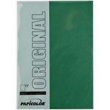Kopieerpapier Papicolor A4 100gr Dennengroen - Pak A 12 Vel