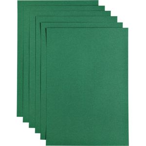 Kopieerpapier Papicolor A4 100gr Dennengroen - Pak A 12 Vel