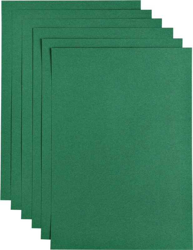 Kopieerpapier Papicolor A4 100gr Dennengroen - Pak A 12 Vel