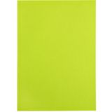 Kopieerpapier Papicolor A4 200gr 6vel Appelgroen