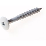 Compactplaatschroef - RVS A2 - Platkop - Torx Aansluiting - 4.8 x 38mm