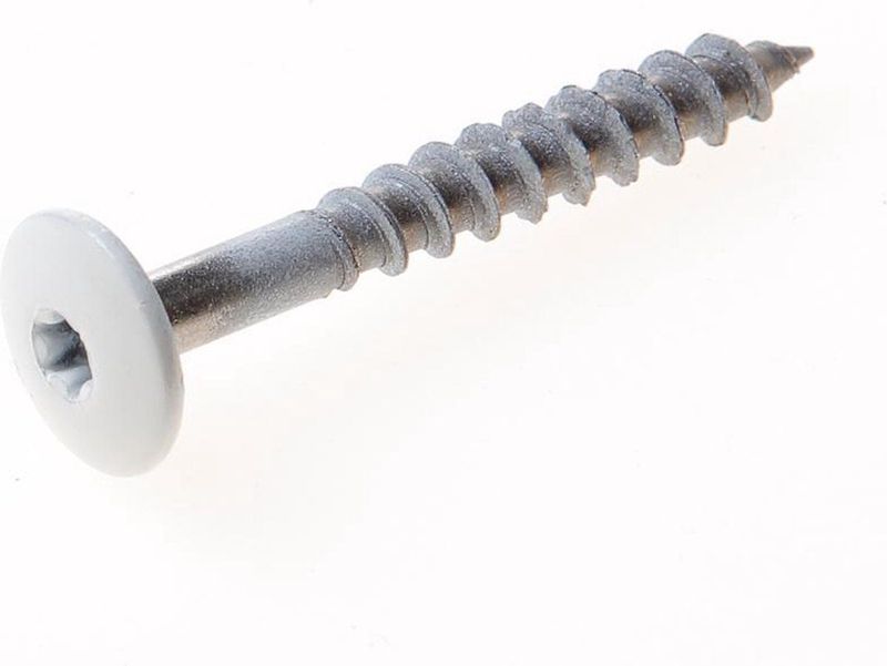 Compactplaatschroef - RVS A2 - Platkop - Torx Aansluiting - 4.8 x 38mm