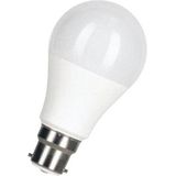 Bailey - LED Lamp - B22d Bajonetfitting - Standaardlamp - 10W - 2700K